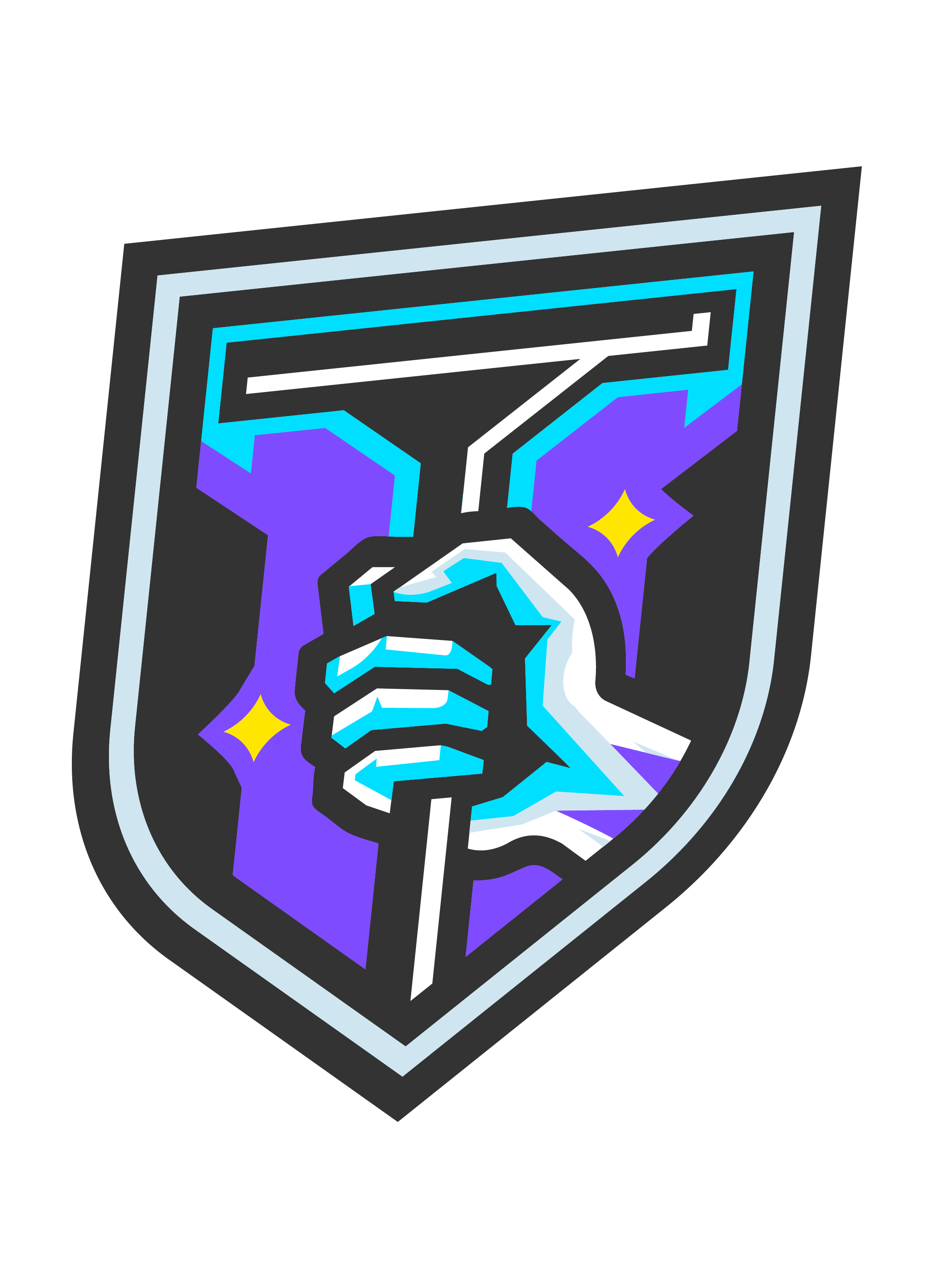 Top Tier Window Cleaning shield
